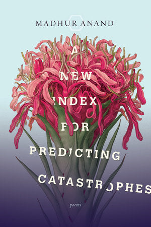 A New Index for Predicting Catastrophes Paperback by Madhur Anand