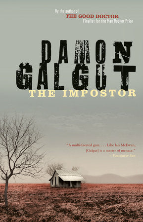 The Impostor Paperback by Damon Galgut