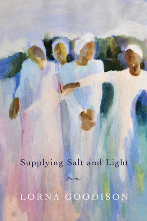 Supplying Salt and Light Paperback by Lorna Goodison