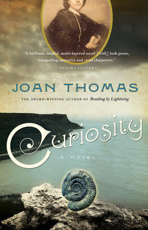 Curiosity Paperback by Joan Thomas