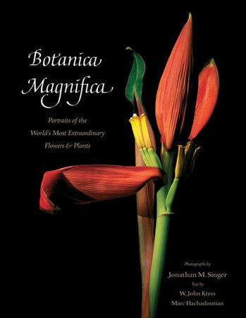 Botanica Magnifica - Deluxe Edition Hardcover by W. John Kress;  Jonathan M Singer