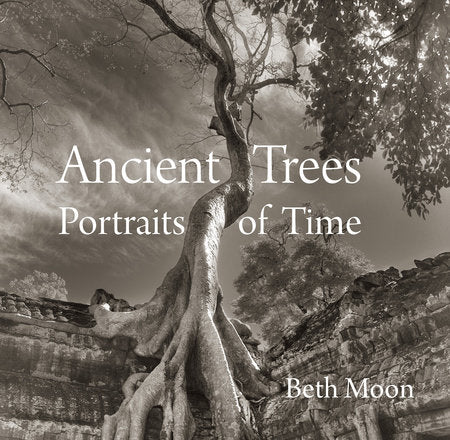 Ancient Trees Hardcover by Beth Moon