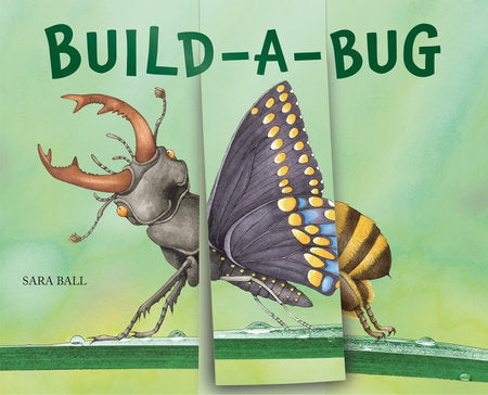 Build-a-Bug Board Book by Sara Ball