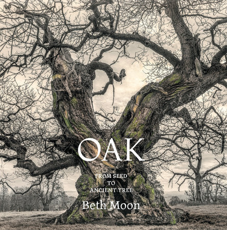 Oak Hardcover by Beth Moon