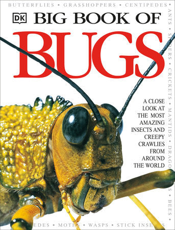 Big Book of Bugs Hardcover by DK