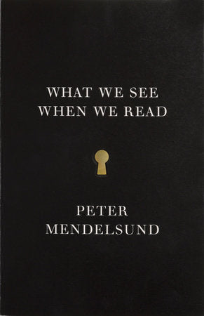 What We See When We Read Paperback by Peter Mendelsund