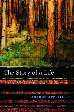 The Story of a Life Paperback by Aharon Appelfeld