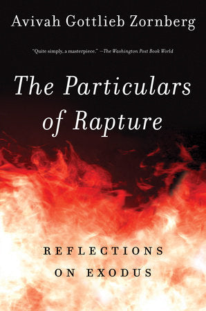The Particulars of Rapture Paperback by Avivah Gottlieb Zornberg