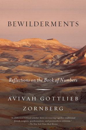 Bewilderments Paperback by Avivah Gottlieb Zornberg