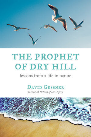 The Prophet of Dry Hill Paperback by David Gessner