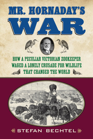 Mr. Hornaday's War Paperback by Stefan Bechtel