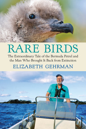 Rare Birds Paperback by Elizabeth Gehrman
