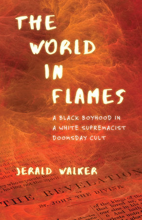 The World in Flames Paperback by Jerald Walker