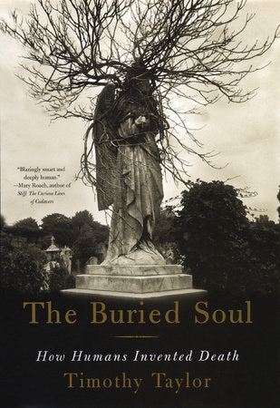 The Buried Soul Paperback by Timothy Taylor