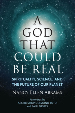 A God That Could be Real Paperback by Nancy Ellen Abrams