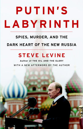 Putin's Labyrinth Paperback by Steve LeVine