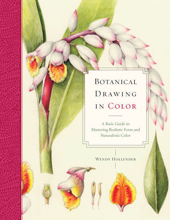 Botanical Drawing in Color Paperback by Wendy Hollender
