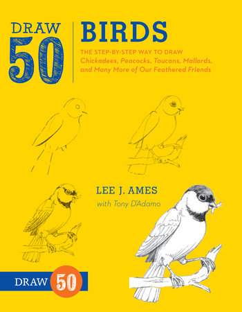 Draw 50 Birds Paperback by Lee J. Ames with Tony D'Adamo