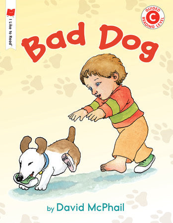 Bad Dog Paperback by Written & illustrated by David McPhail