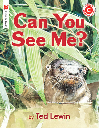 Can You See Me? Paperback by Written & illustrated by Ted Lewin