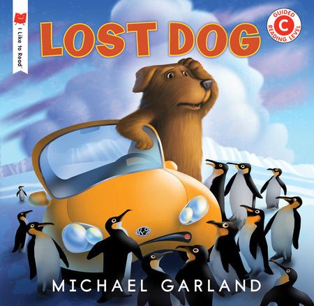 Lost Dog Paperback by Written & illustrated by Michael Garland