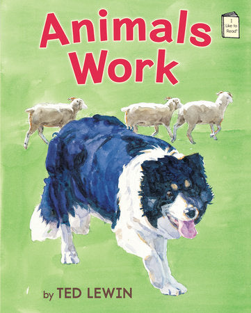 Animals Work Paperback by Written & illustrated by Ted Lewin