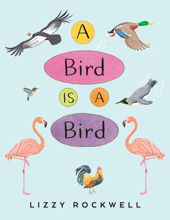 A Bird Is a Bird Paperback by Written & illustrated by Lizzy Rockwell