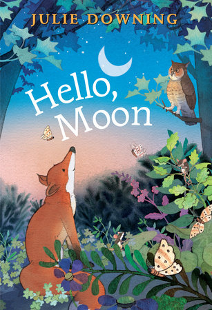 Hello, Moon Hardcover by Written & illustrated by Julie Downing