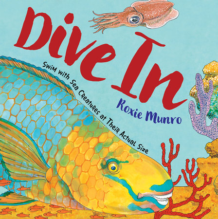 Dive In TR by Written & illustrated by Roxie Munro