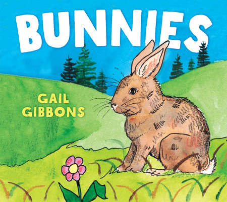 Bunnies Board Book by Written & illustrated by Gail Gibbons