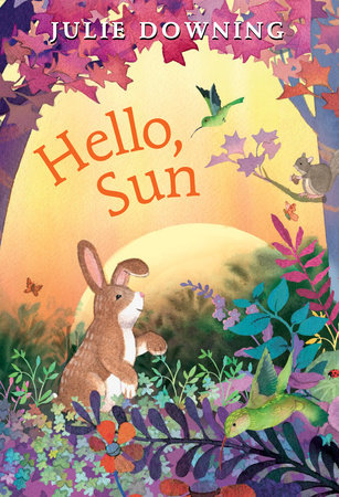 Hello, Sun Hardcover by Julie Downing