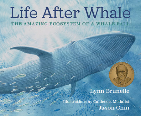 Life After Whale Hardcover by Lynn Brunelle; illustrated by Jason Chin