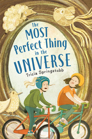 The Most Perfect Thing in the Universe TR by by Tricia Springstubb