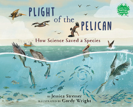Plight of the Pelican Hardcover by Jessica Stremer; illustrated by Gordy Wright