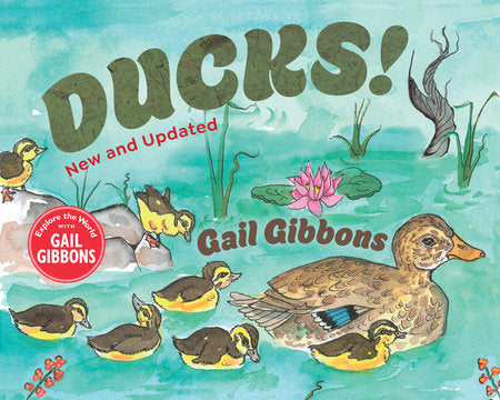 Ducks! (New & Updated) Paperback by Gail Gibbons