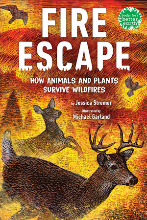 Fire Escape TR by Jessica Stremer; illustrated by Michael Garland
