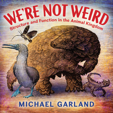 We're Not Weird Paperback by Michael Garland