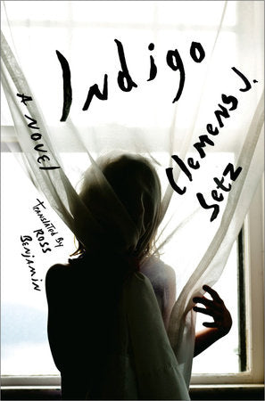 Indigo Hardcover by Clemens J Setz;Ross Benjamin
