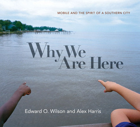 Why We Are Here Hardcover by Edward O Wilson;Alex Harris;Alex Harris