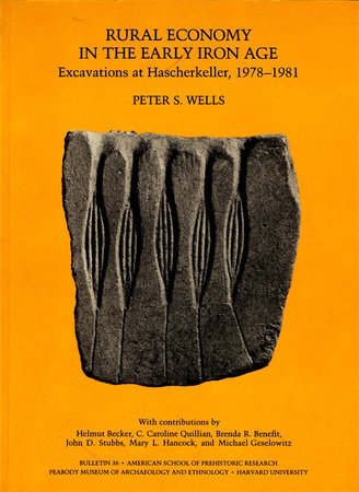 Rural Economy in the Early Iron Age Paperback by Peter S. Wells