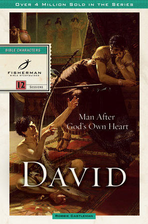 David Paperback by Robbie Castleman