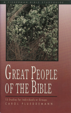 Great People of the Bible Paperback by Carol Plueddemann