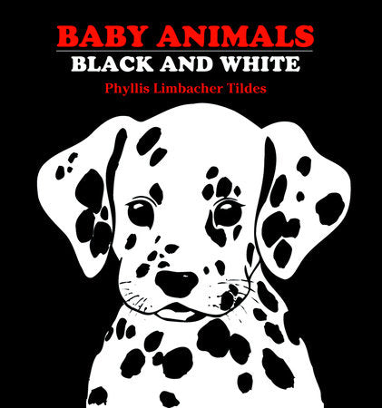 Baby Animals Black and White Board Book by Phyllis Limbacher Tildes (Author/Illustrator)