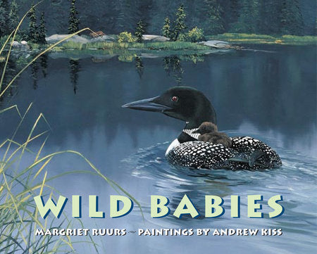 Wild Babies Hardcover by Margriet Ruurs; illustrated by Andrew Kiss