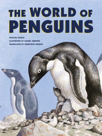 The World of Penguins Paperback by Evelyne Daigle; illustrated by Daniel Grenier; translated by Geneviève Wright