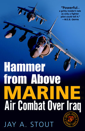 Hammer from Above Paperback by Jay A. Stout