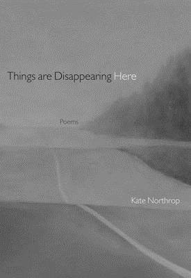 Things Are Disappearing Here Paperback by Kate Northrop