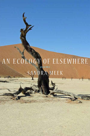 An Ecology of Elsewhere Paperback by Sandra Meek