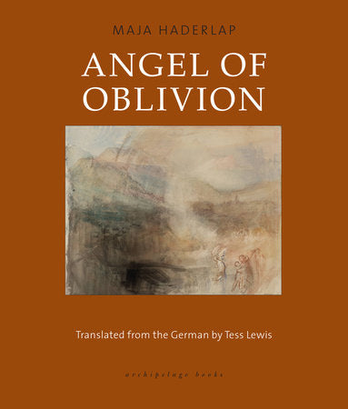Angel of Oblivion Paperback by Maja Haderlap