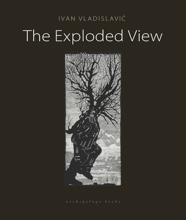 The Exploded View Paperback by Ivan Vladislavic